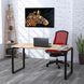 стіл письмовий Q-160/36 766х1600х700мм Loft Design X70033 фото 1