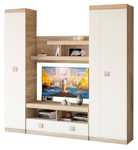 пенал Сон закрытий Алекса-СМ (400х380 h-2050мм ) X460242 фото