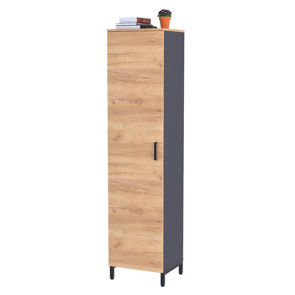 шафа офісна LT-450-1900 (450х420 h-1900мм) Loft Design X70049 фото