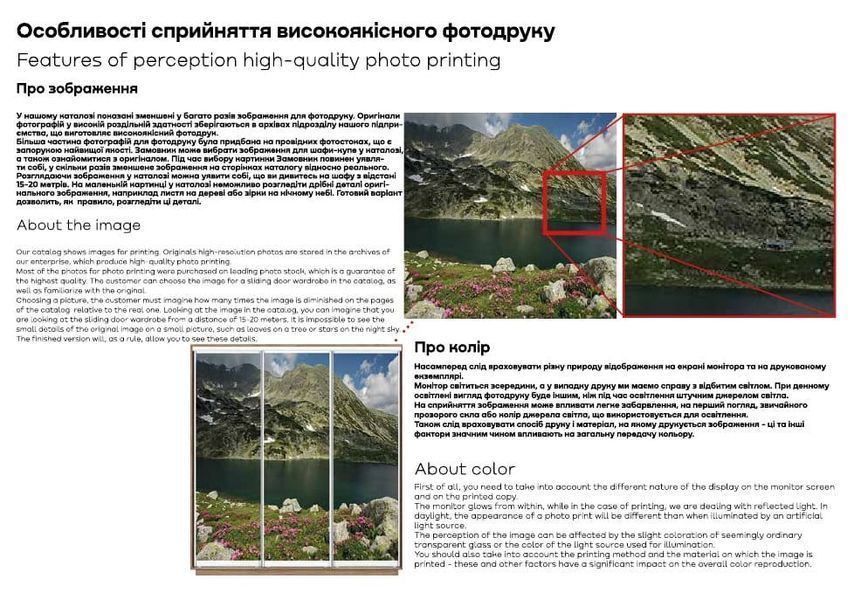 Шафа-купе 2Д Стандарт (Гарант) X540001 фото